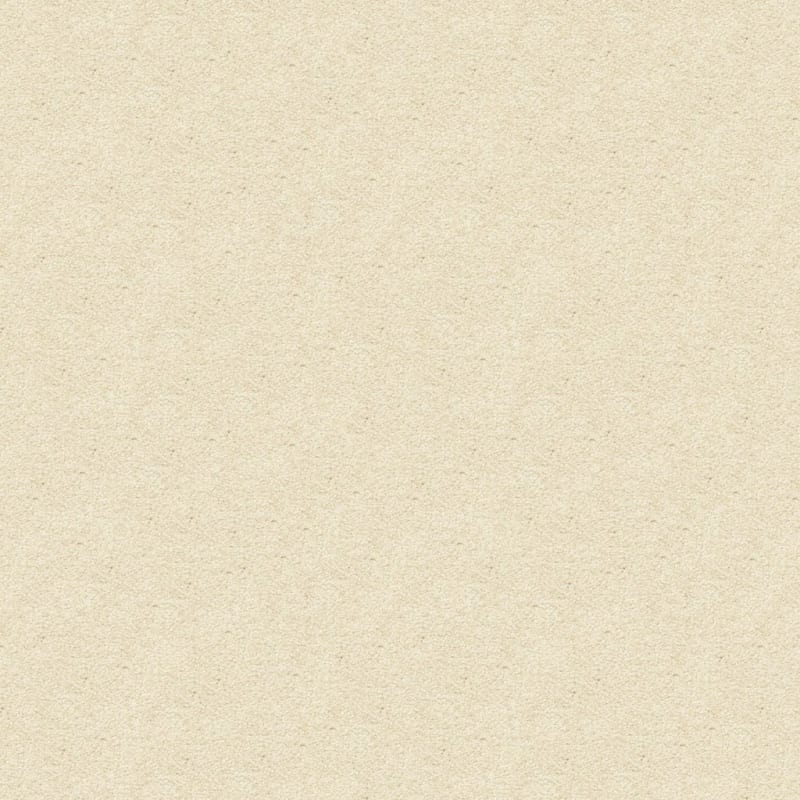 Vero Beach carpet by Masland
