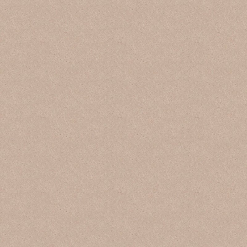 Embrace carpet by Masland