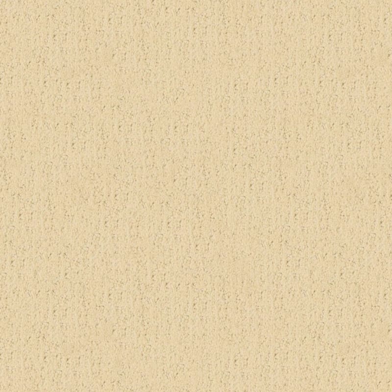 Santa Barbara carpet by Masland