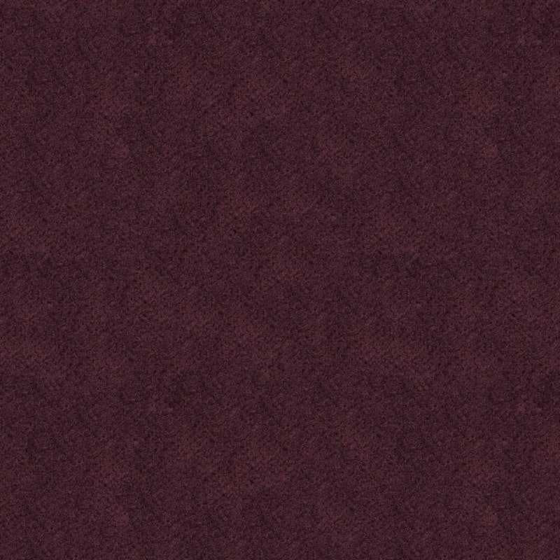 Montauk carpet by Masland