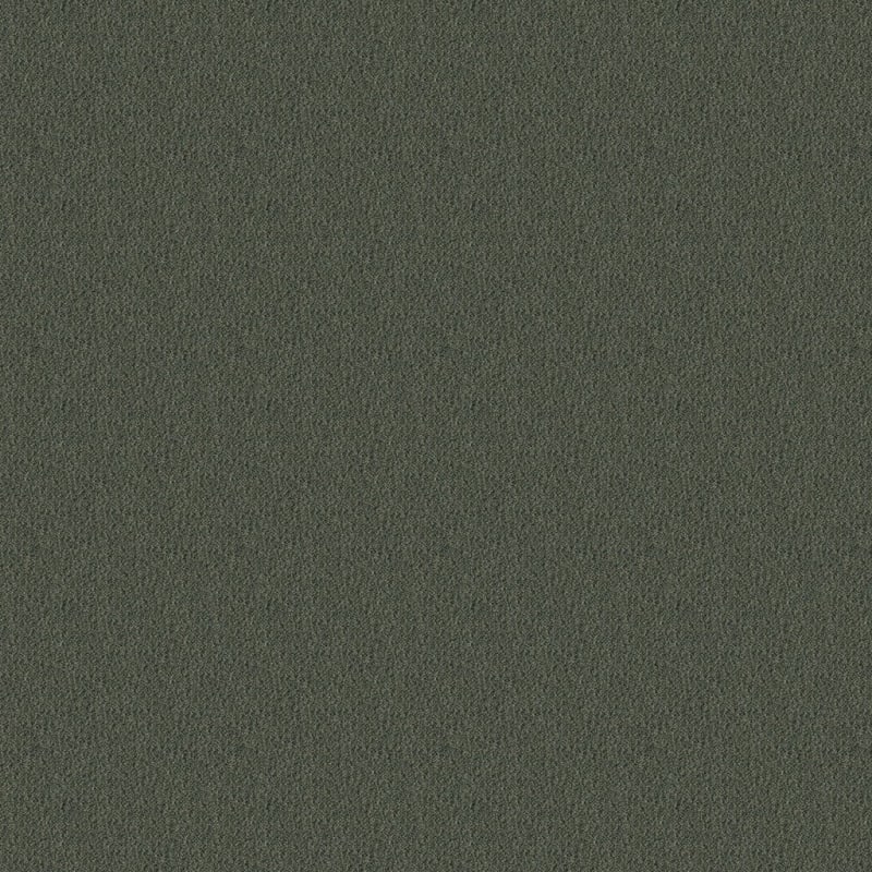 Panache carpet by Masland