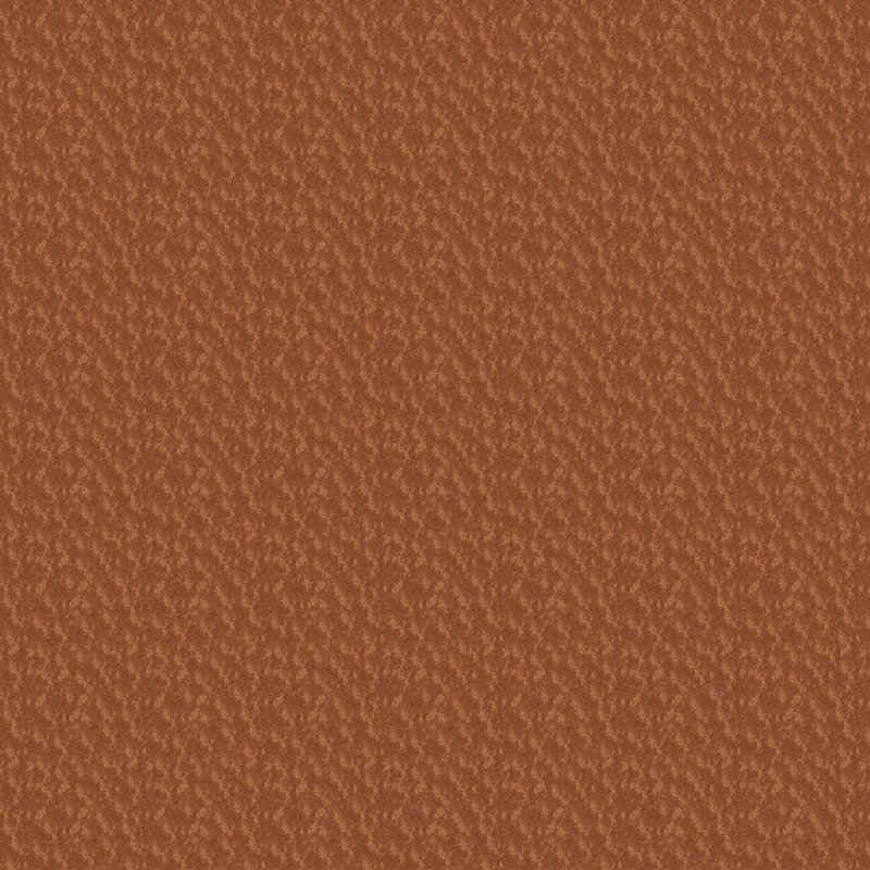 True Luxury carpet by Masland
