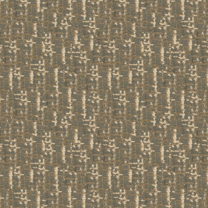Censor carpet by Masland