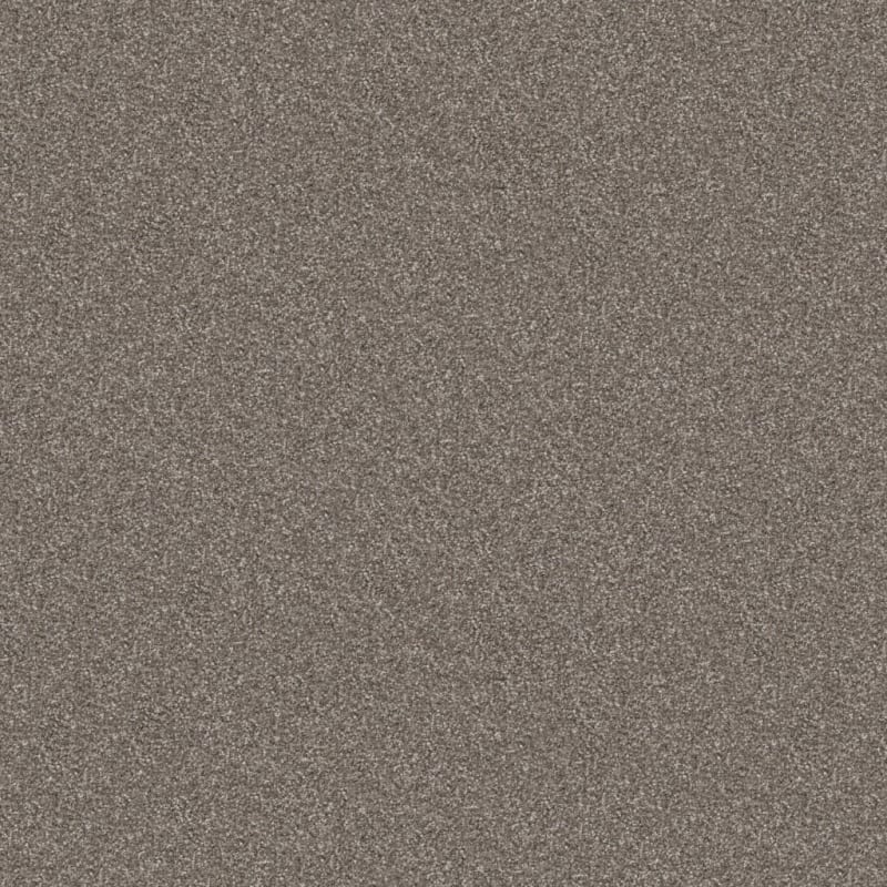 Tracker carpet by Masland