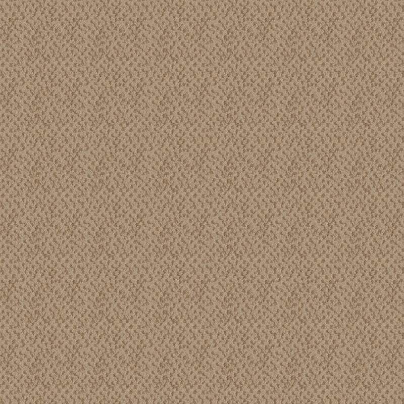 Seurat carpet by Masland