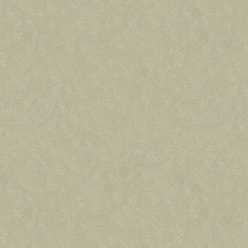 True Luxury carpet by Masland