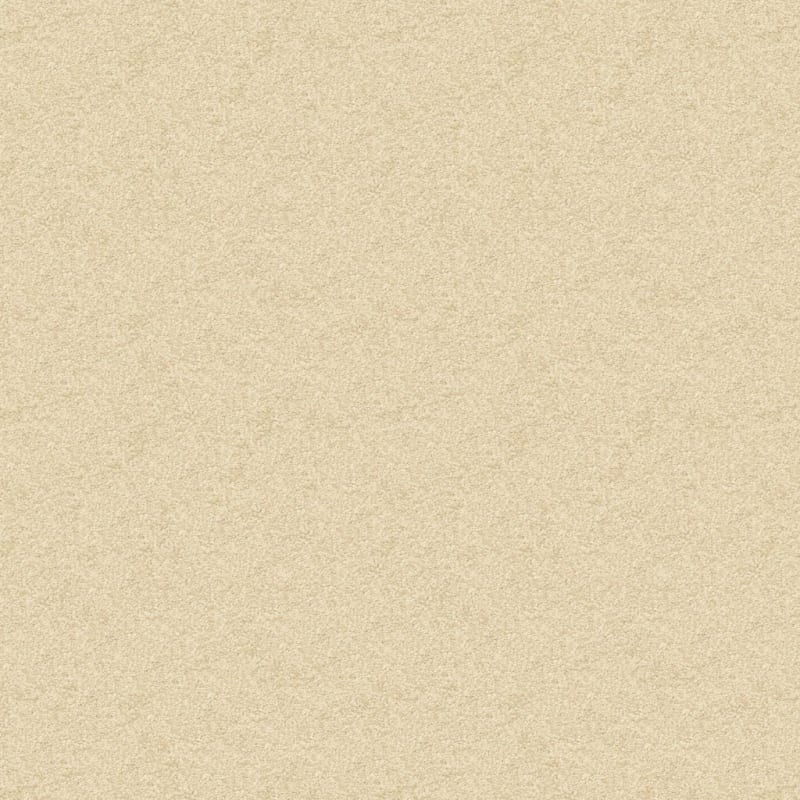 Vero Beach carpet by Masland