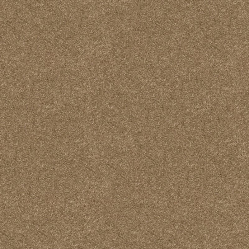 Knockout carpet by Masland