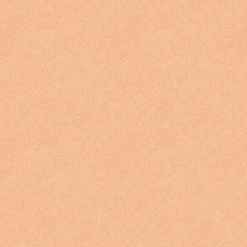Vero Beach carpet by Masland