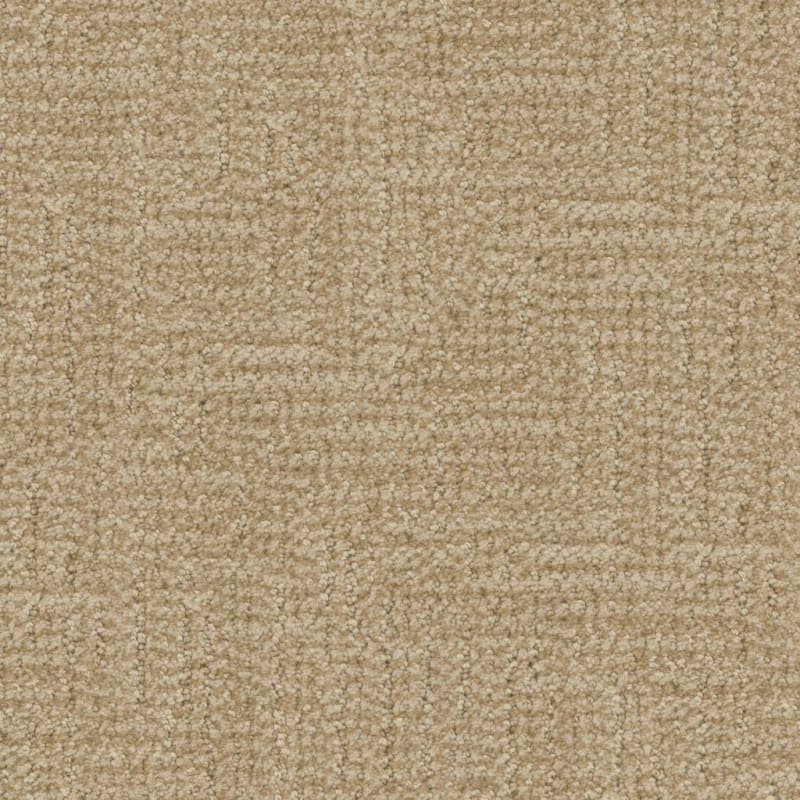 Prestigious carpet by Masland