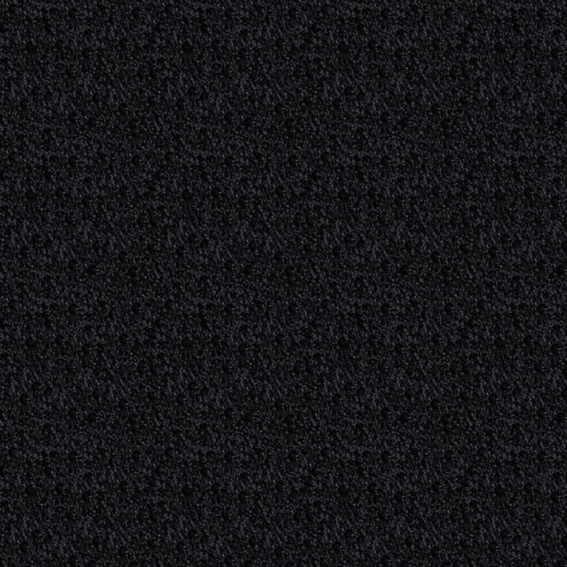 Shangri-La carpet by Masland