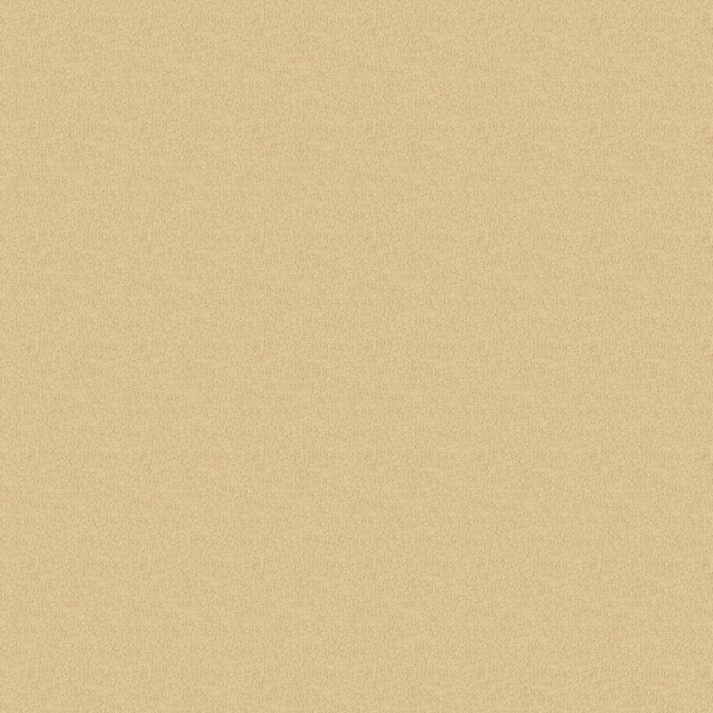 Key West carpet by Masland