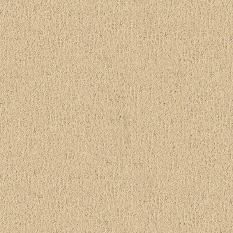 Santa Barbara carpet by Masland