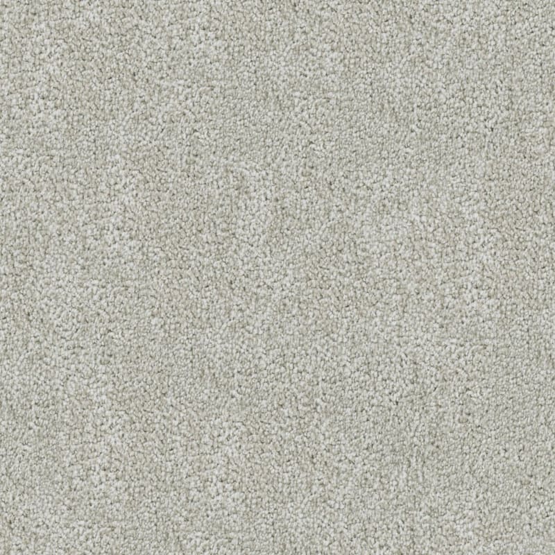 Buena Vida carpet by Masland