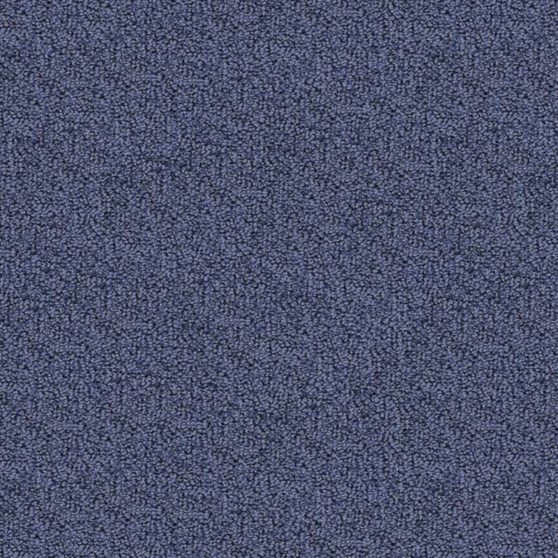 Marina Del Mar carpet by Masland