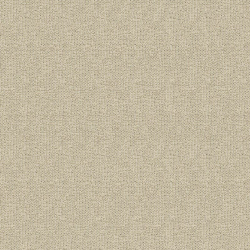 Tresor carpet by Masland