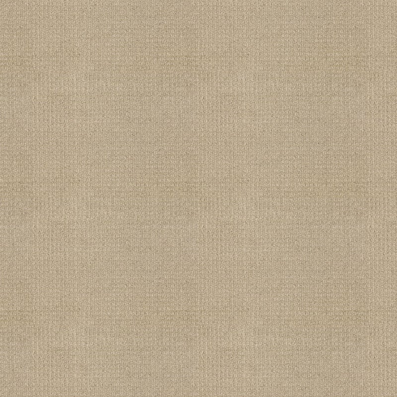 Grand Champion carpet by Masland