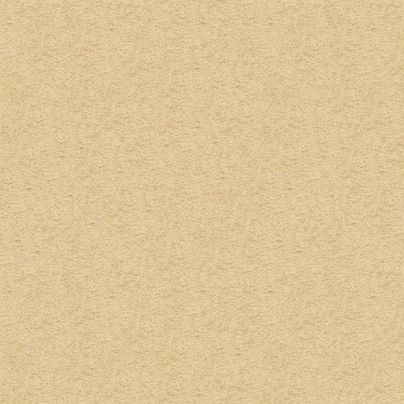 Knockout carpet by Masland