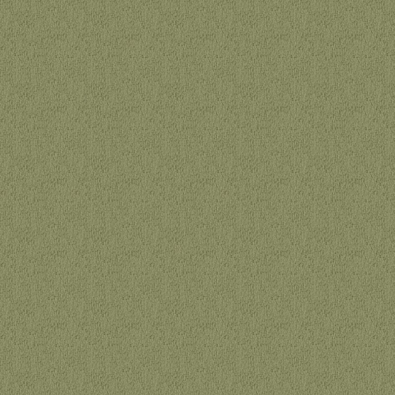 Novellino carpet by Masland