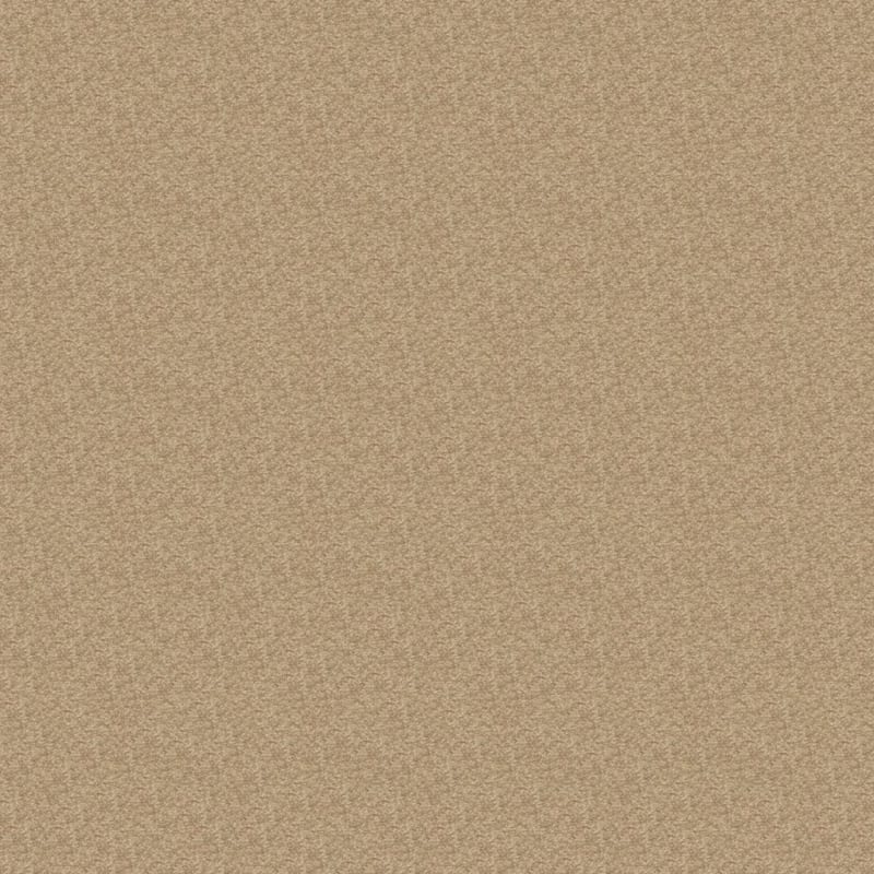 Patriot carpet by Masland