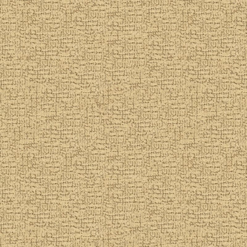 Dorado carpet by Masland