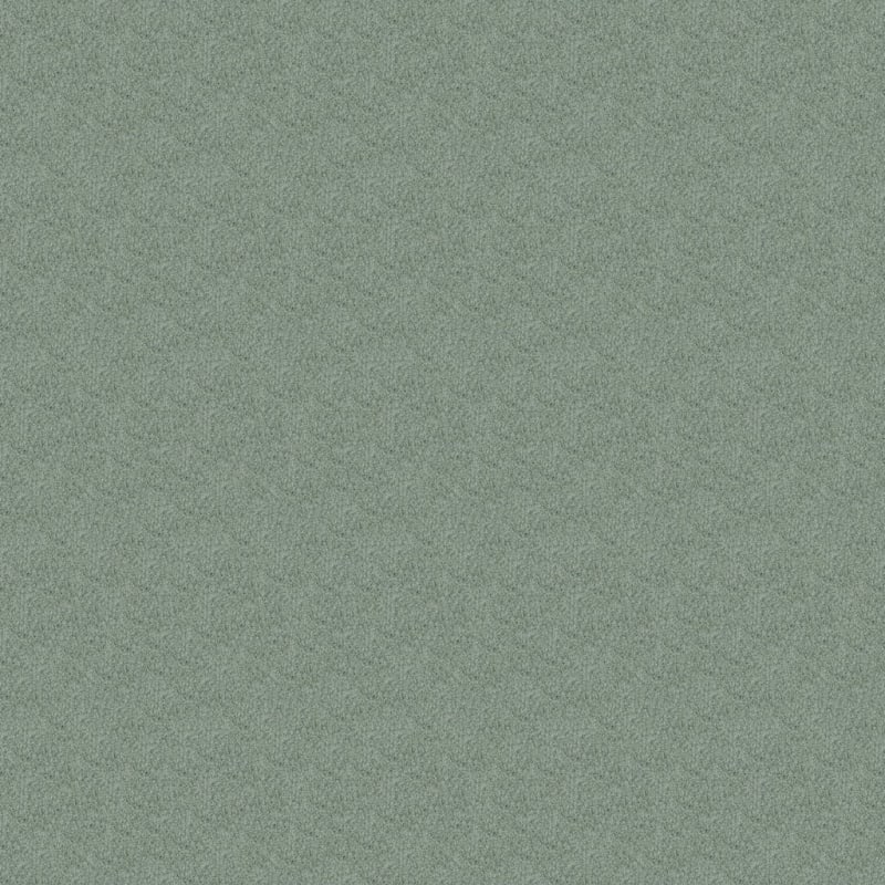 Key West carpet by Masland