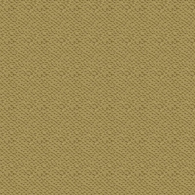 Seurat carpet by Masland