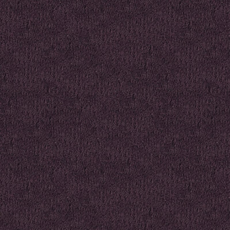 Santa Barbara carpet by Masland
