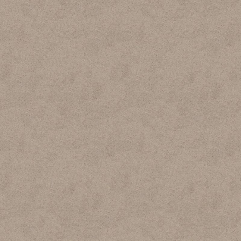 Embrace carpet by Masland