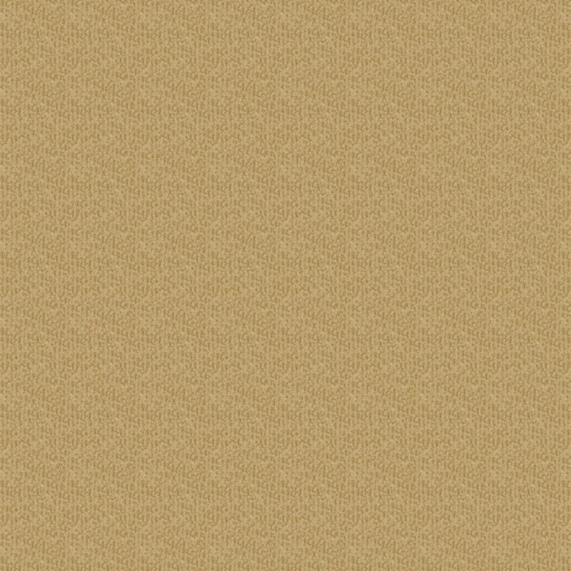 Pinehurst carpet by Masland