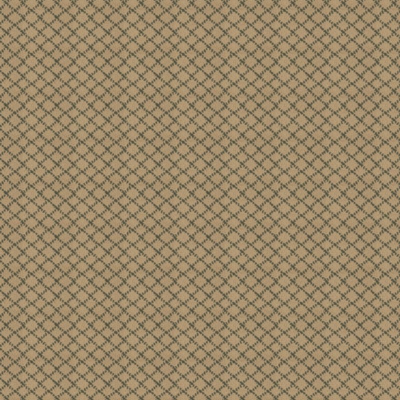 Charmant carpet by Masland