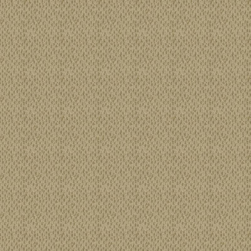 Seurat carpet by Masland