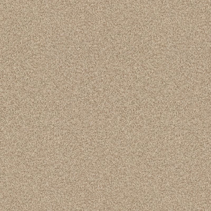 Santa Rosa carpet by Masland