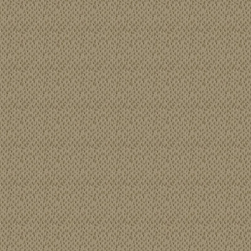 Seurat carpet by Masland