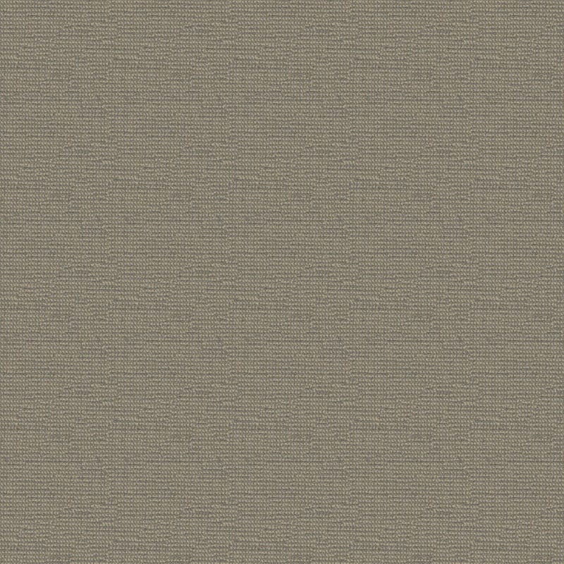 Tango carpet by Masland