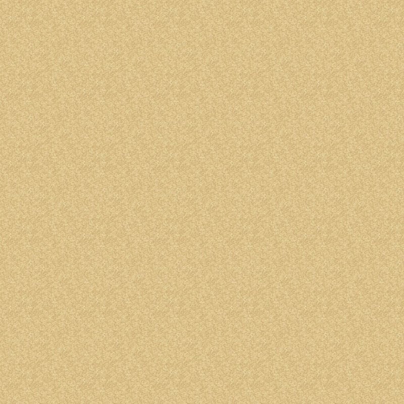 Morgan Bay carpet by Masland