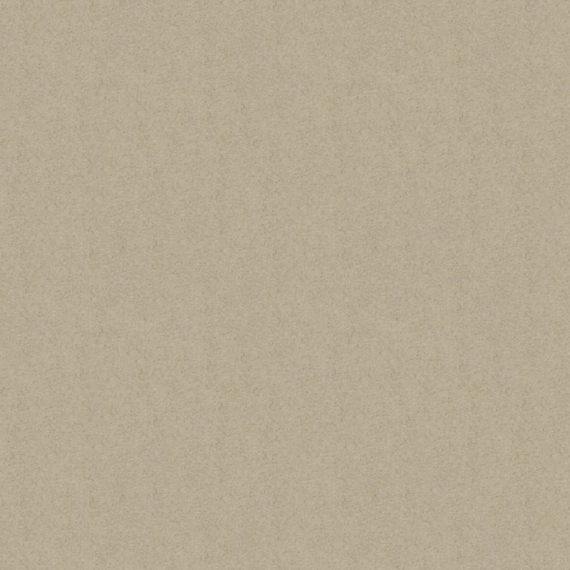 Embrace carpet by Masland