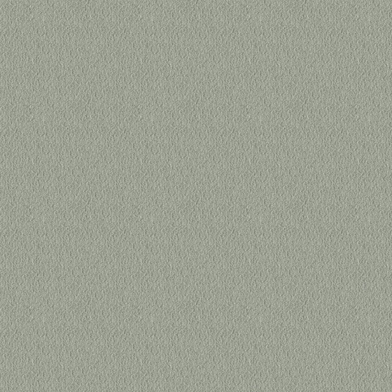 Panache carpet by Masland