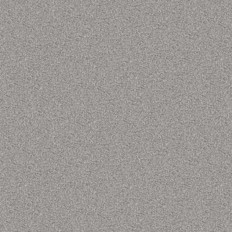 Tracker carpet by Masland