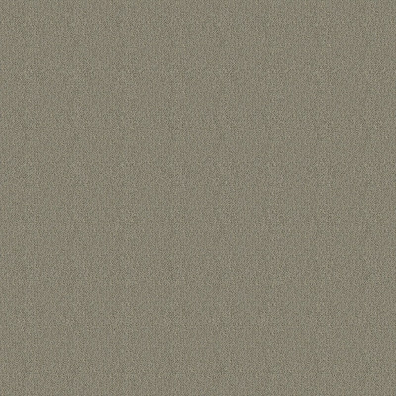 Panache carpet by Masland