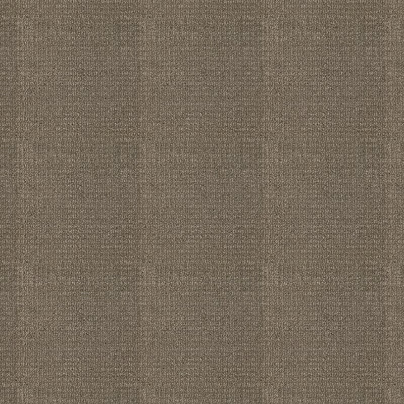 Grand Champion carpet by Masland