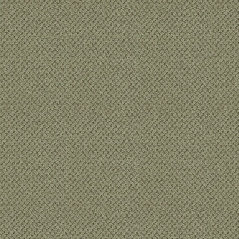 La Parade carpet by Masland