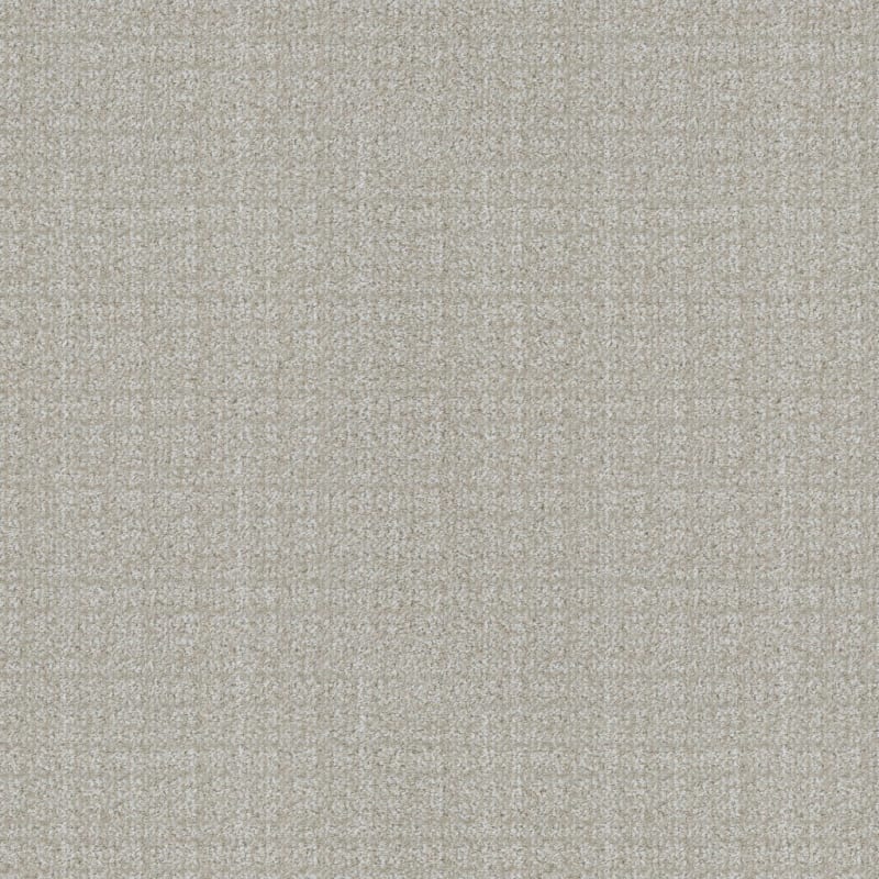 Purebred carpet by Masland