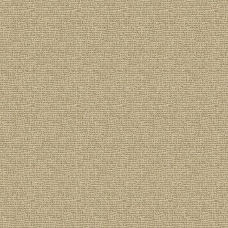 Alpha carpet by Masland