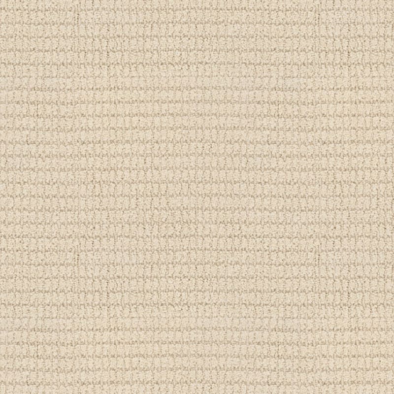 Defined carpet by Masland