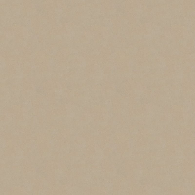 Silk Touch carpet by Masland