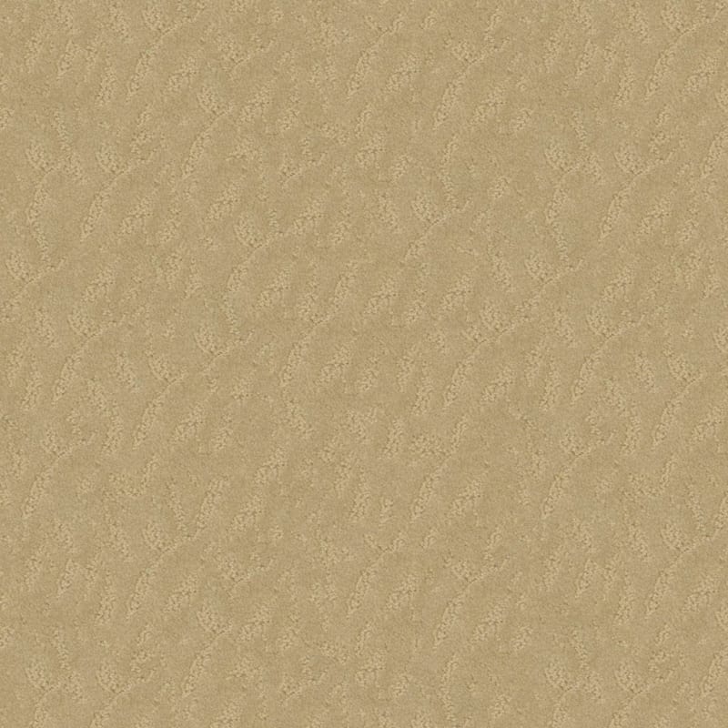 True Luxury carpet by Masland