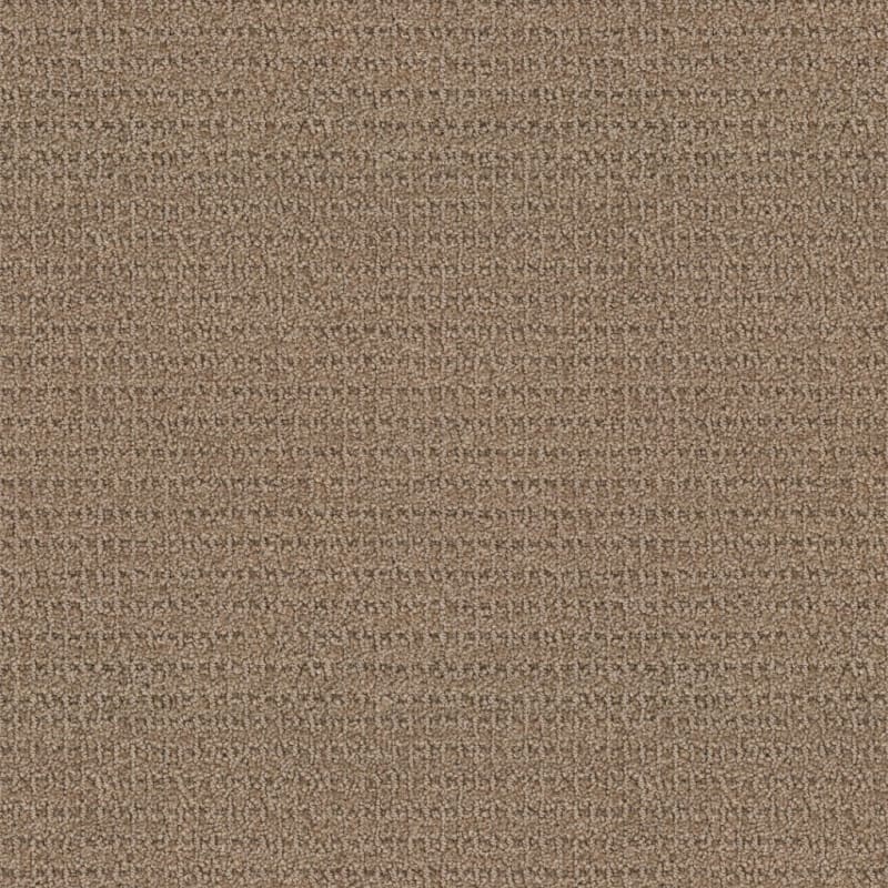 Defined carpet by Masland
