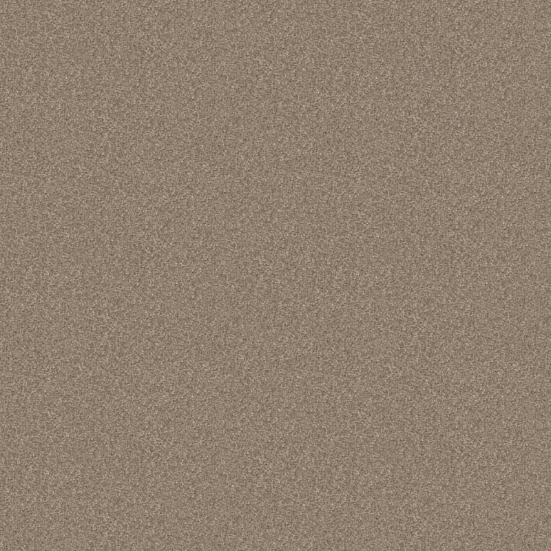 Hunter carpet by Masland