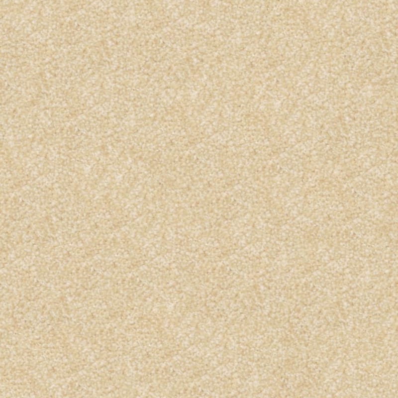 Beacon Hill carpet by Masland